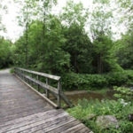 trails-web-1-150x150